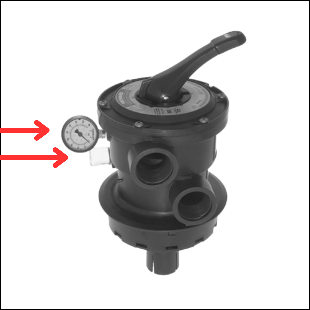 Untitled design (31).png
